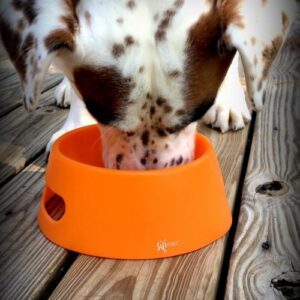 Hunter Orange BPS Free Silipint Silicone Dog Bowl