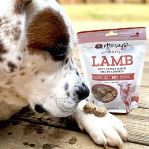 Freeze-Dried Lamb Dog Treats