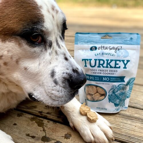 All-Natural Turkey Dog Treats