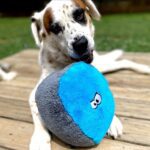 fuzzy ball dog toy