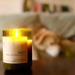 Rescued Wine Candle, Pinot Noir