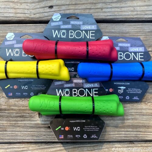 Bone toy for dogs