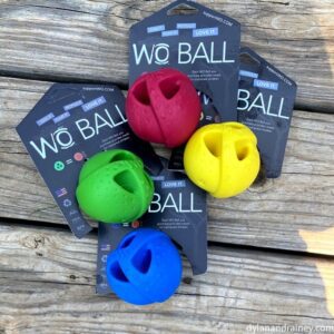 Ball dog toy