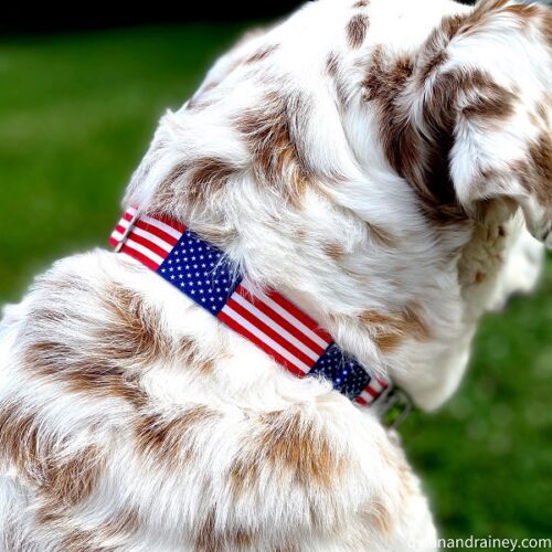 US Flag Dog Collar