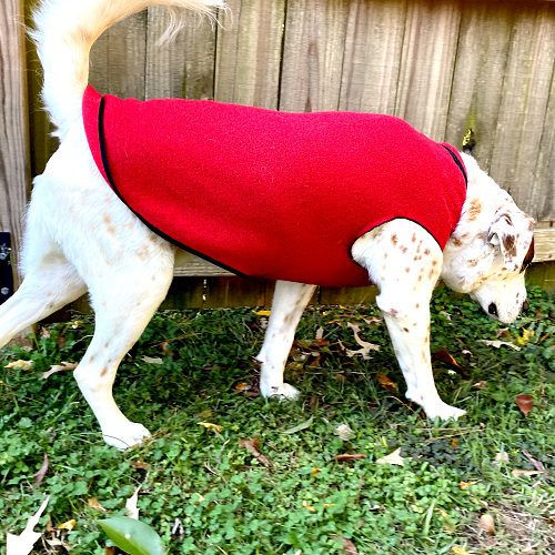 Fleece pullover for dog