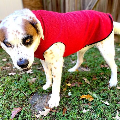 Fleece pullover for dogs