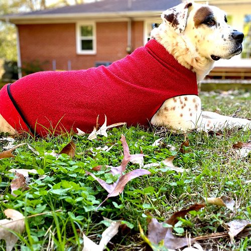 red Fleece pullover for dogs