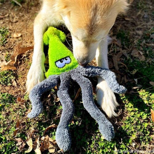 Squid Plush Dog Toy