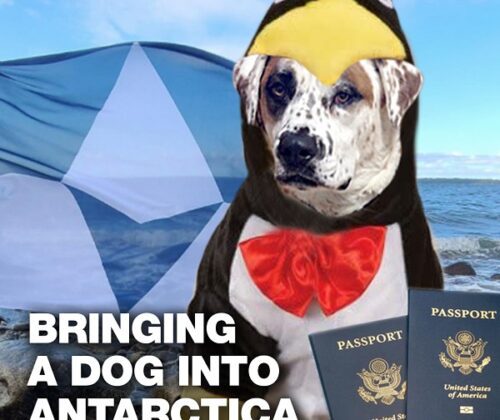 bringing your dog into Antarctica