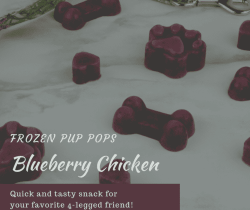 Blueberry Chicken Pup Pop