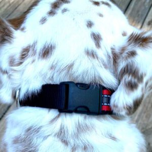 Reflective Buckle Dog Collar
