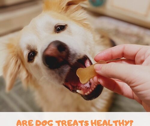 are dog treats healthy