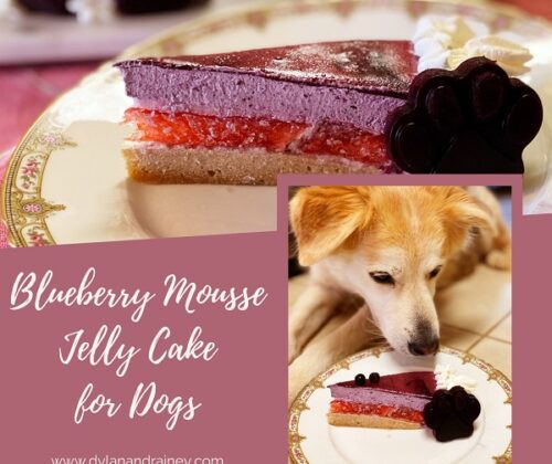 blueberry mousse jelly cake for dogs
