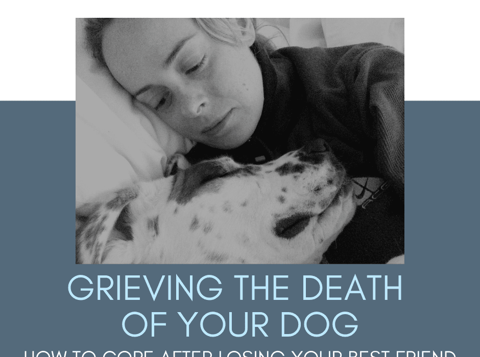 grieving the death of your dog