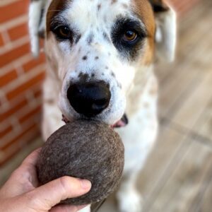 natural wool ball dog toy