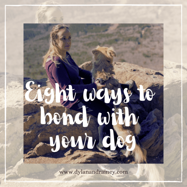 ways to bond with your dog