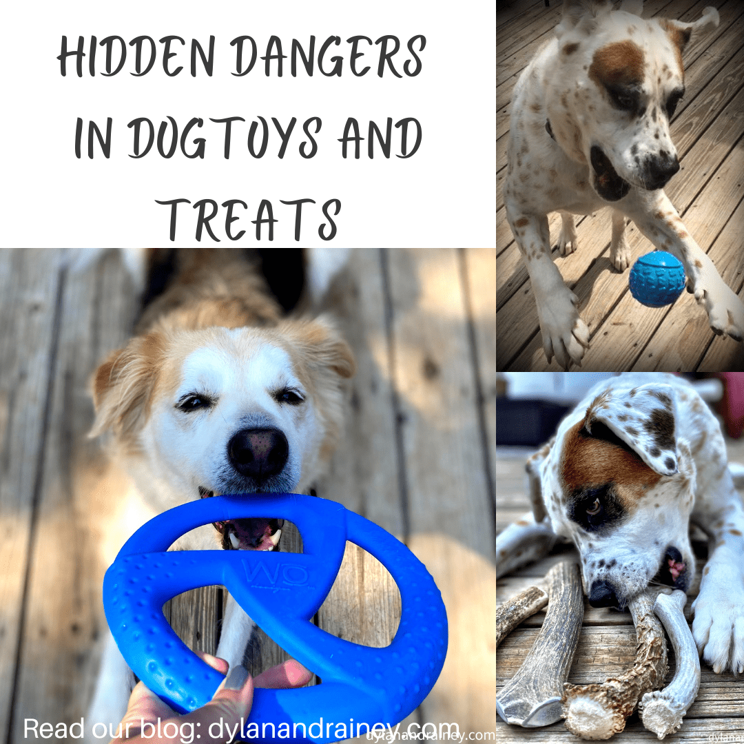 hidden dangers in dog toys