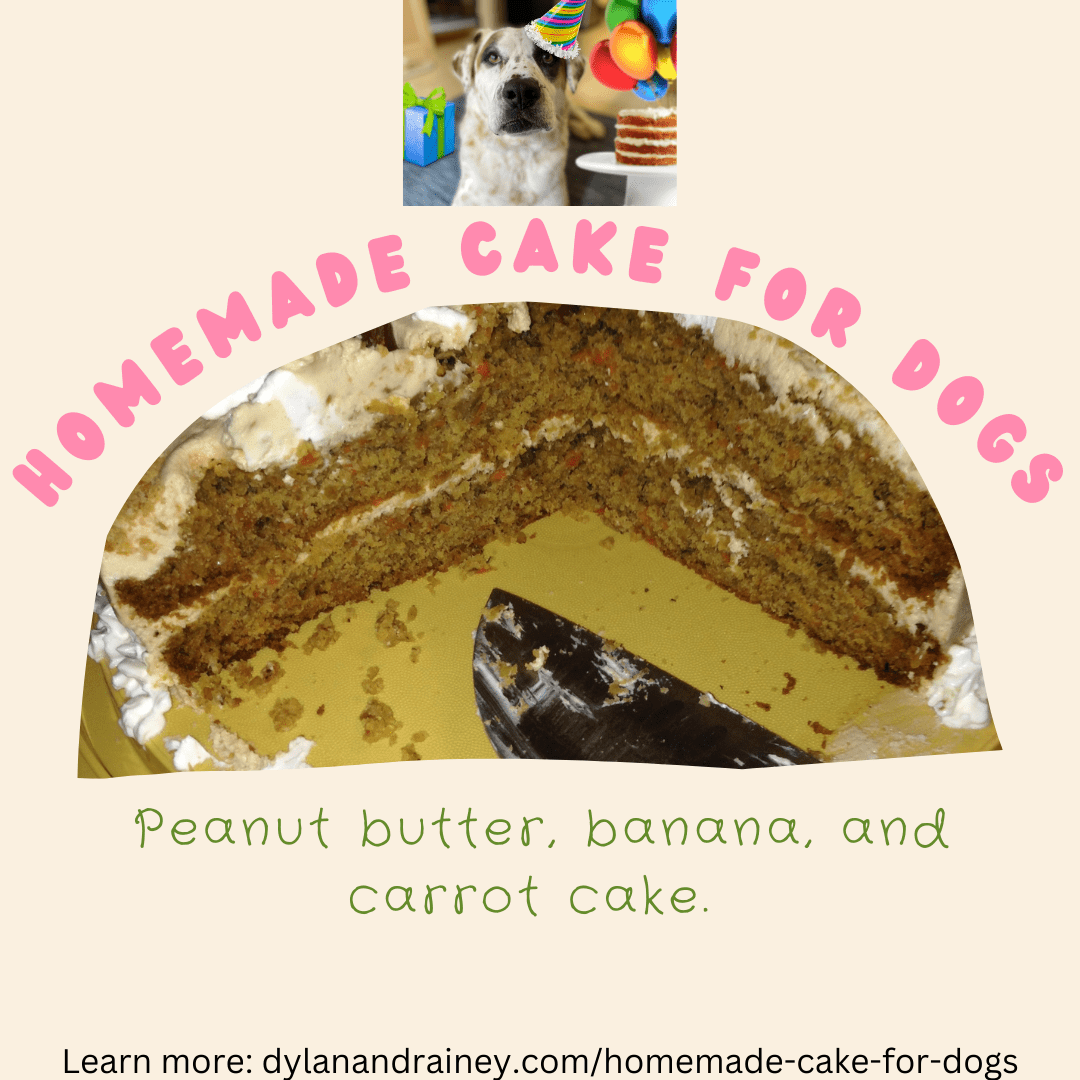 homemade cake for dogs