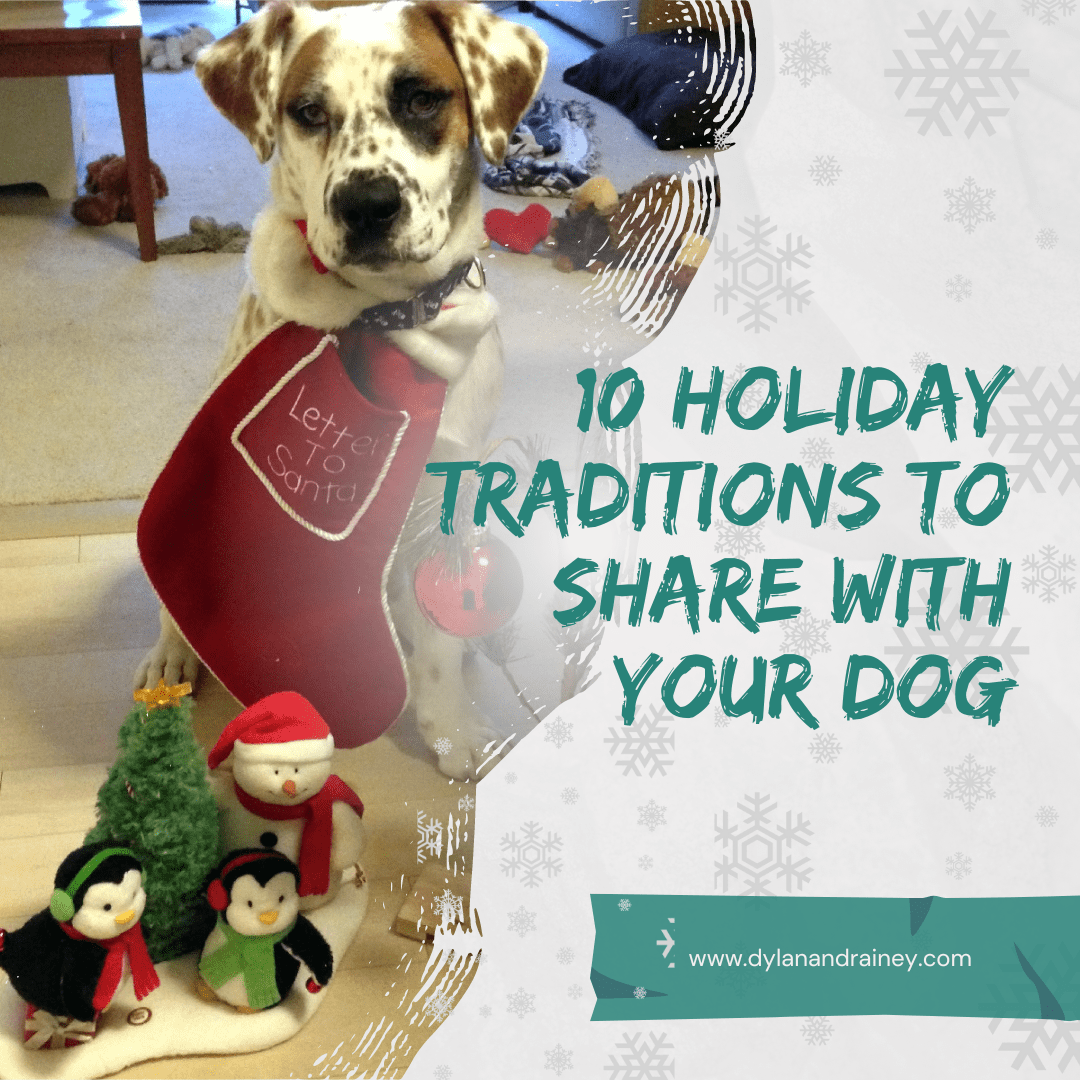 holiday traditions to share with your dog