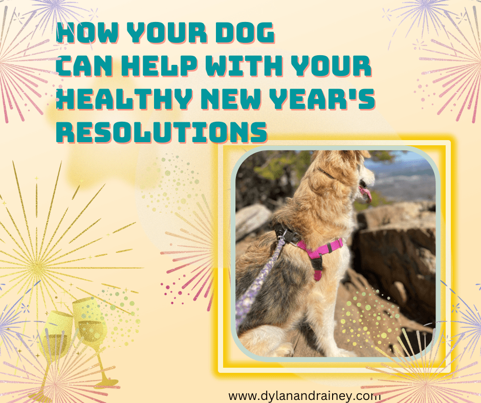how your dog can help with new year's resolutions