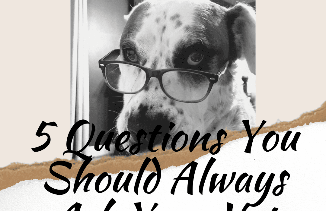 questions you should ask your vet