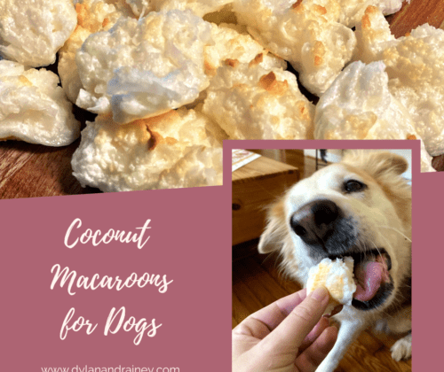 coconut macaroons for dogs