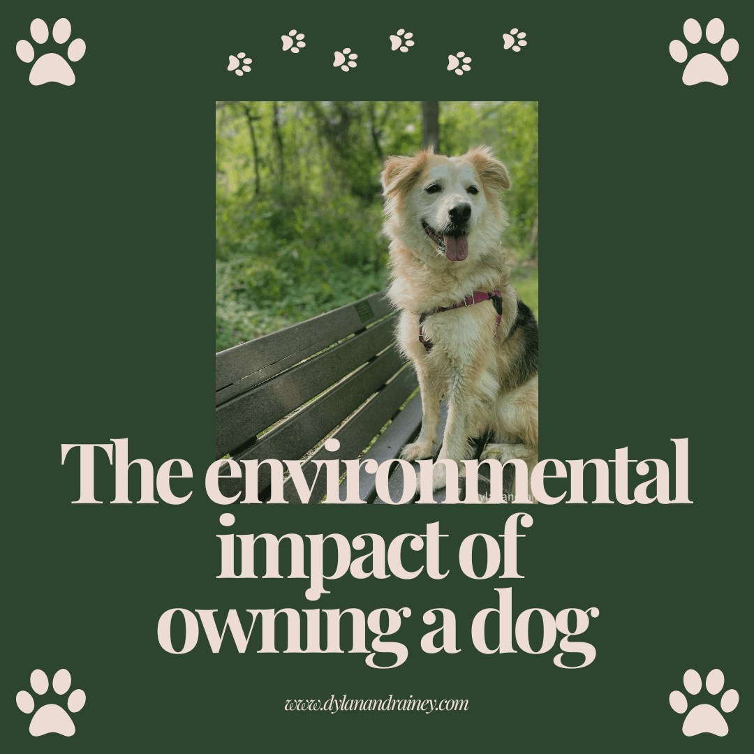 environmental impact of owning a dog