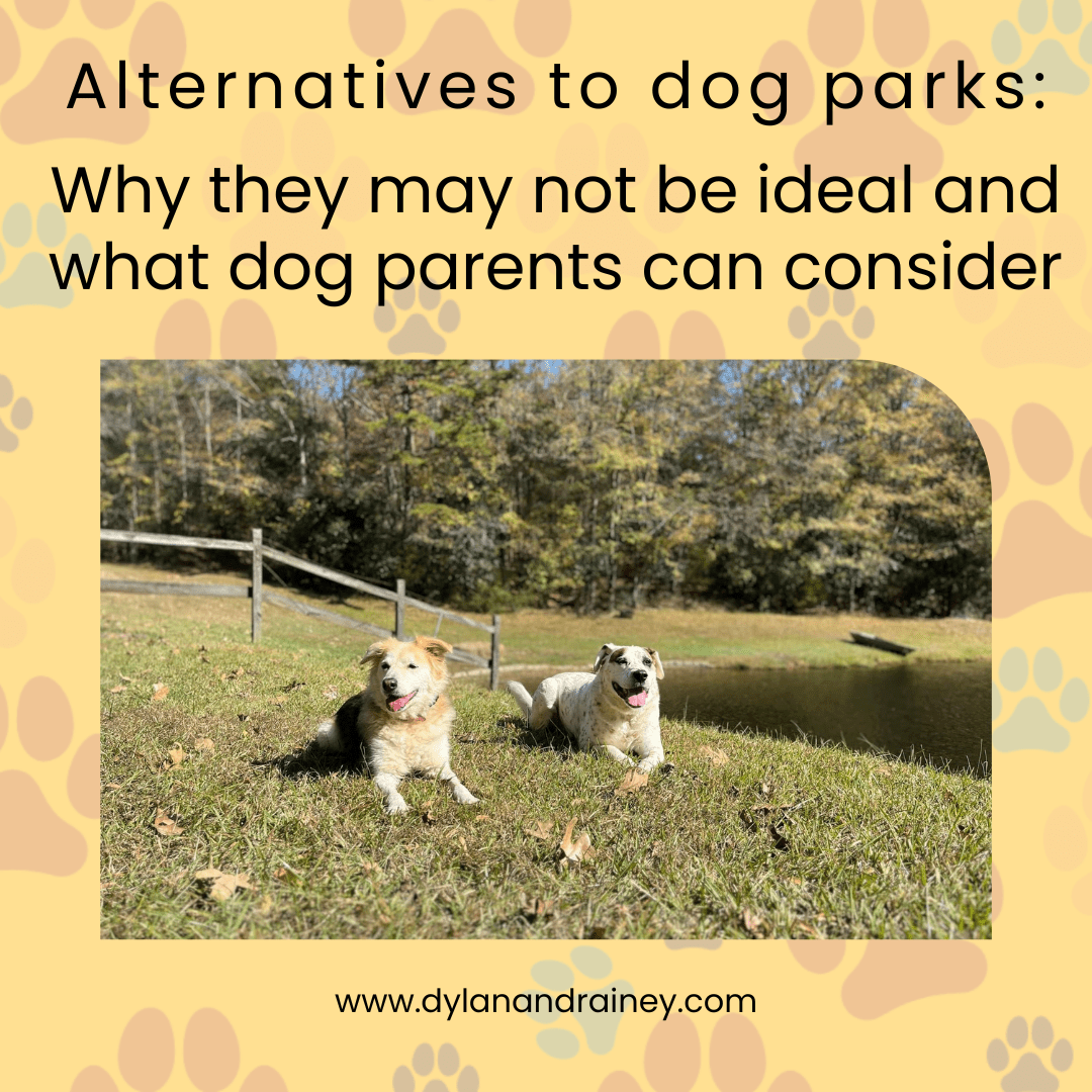 Alternatives to dog parks