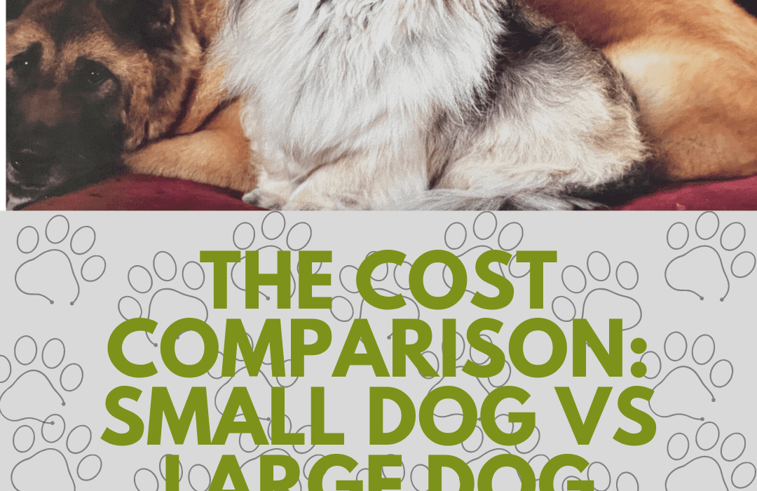 cost of owning a small vs large dog
