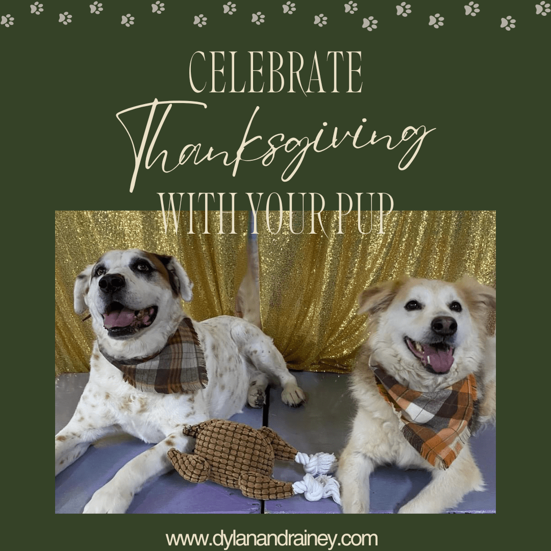 Celebrate Thanksgiving with Your Pup
